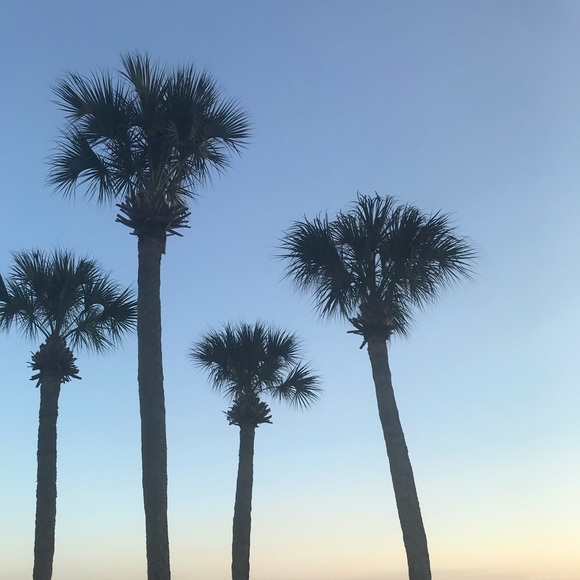 Meet your Posher, Tea - Picture 1 of 1